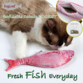 Rechargement Cataire Jouets Simulation En Peluche Poissons Chat Mastication Interactif